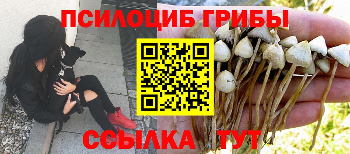 Псилоцибиновые грибы мицелий  Галлюциногенные грибы Psilocybe  Новокубанск  Вход с VPN 