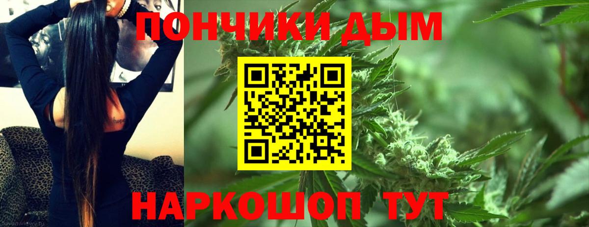 Каннабис гибрид Новокубанск